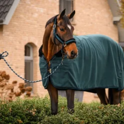 Cavallo Halster CavalJero met Bont Dark Peacock