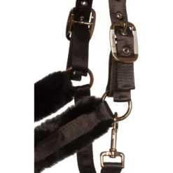 Cavallo Halster CavalJero met Bont Café Noir