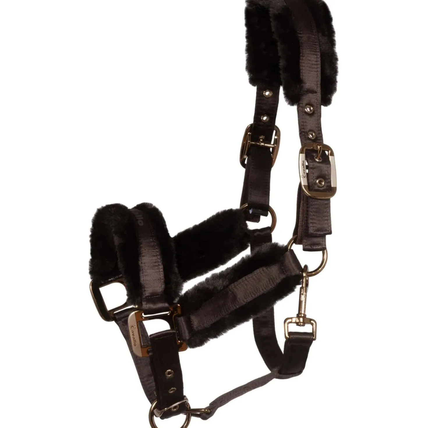 Cavallo Halster CavalJero met Bont Café Noir