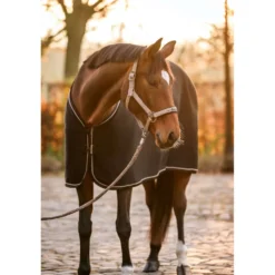 Cavallo Halster CavalRose Latte