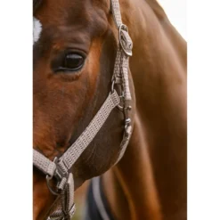 Cavallo Halster CavalRose Latte