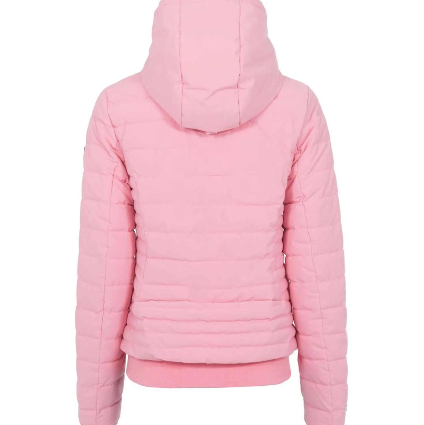 Cavallo Jack CavalBena Powder Pink