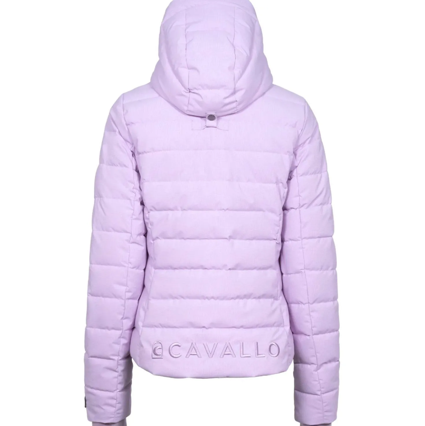 Cavallo Jas CavalDanet Iced Lilac