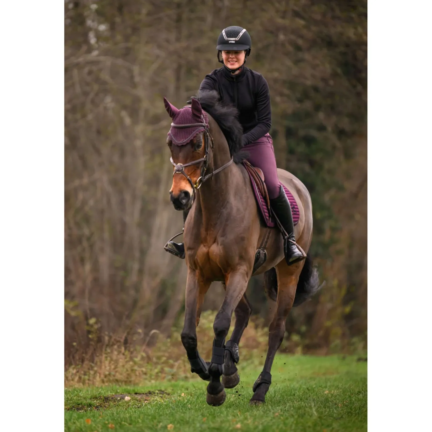 Cavallo Oornetje CavalJetty Dusty Plum