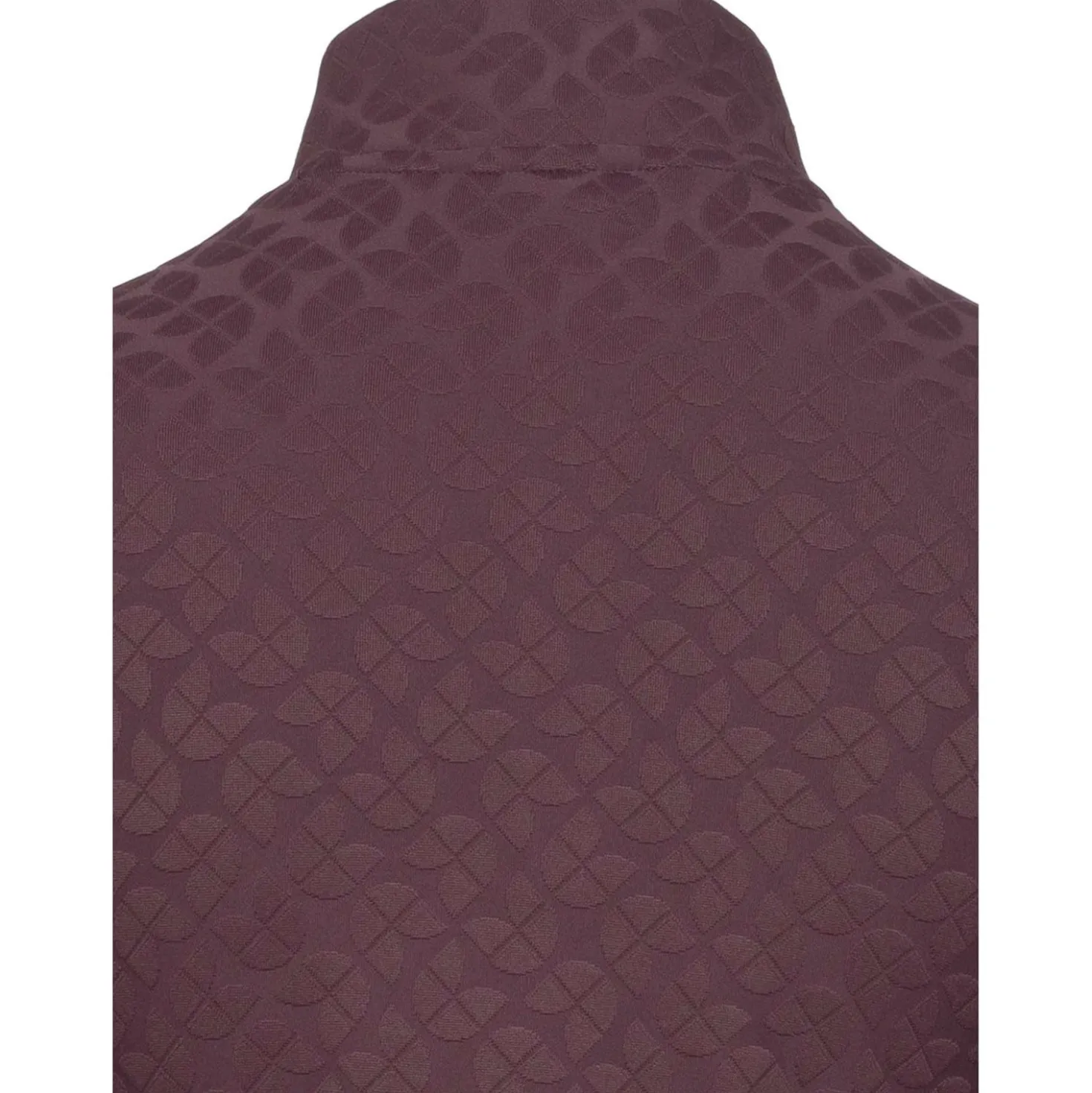 Cavallo Shirt CavalDarsha Lange Mouwen Dusty Plum