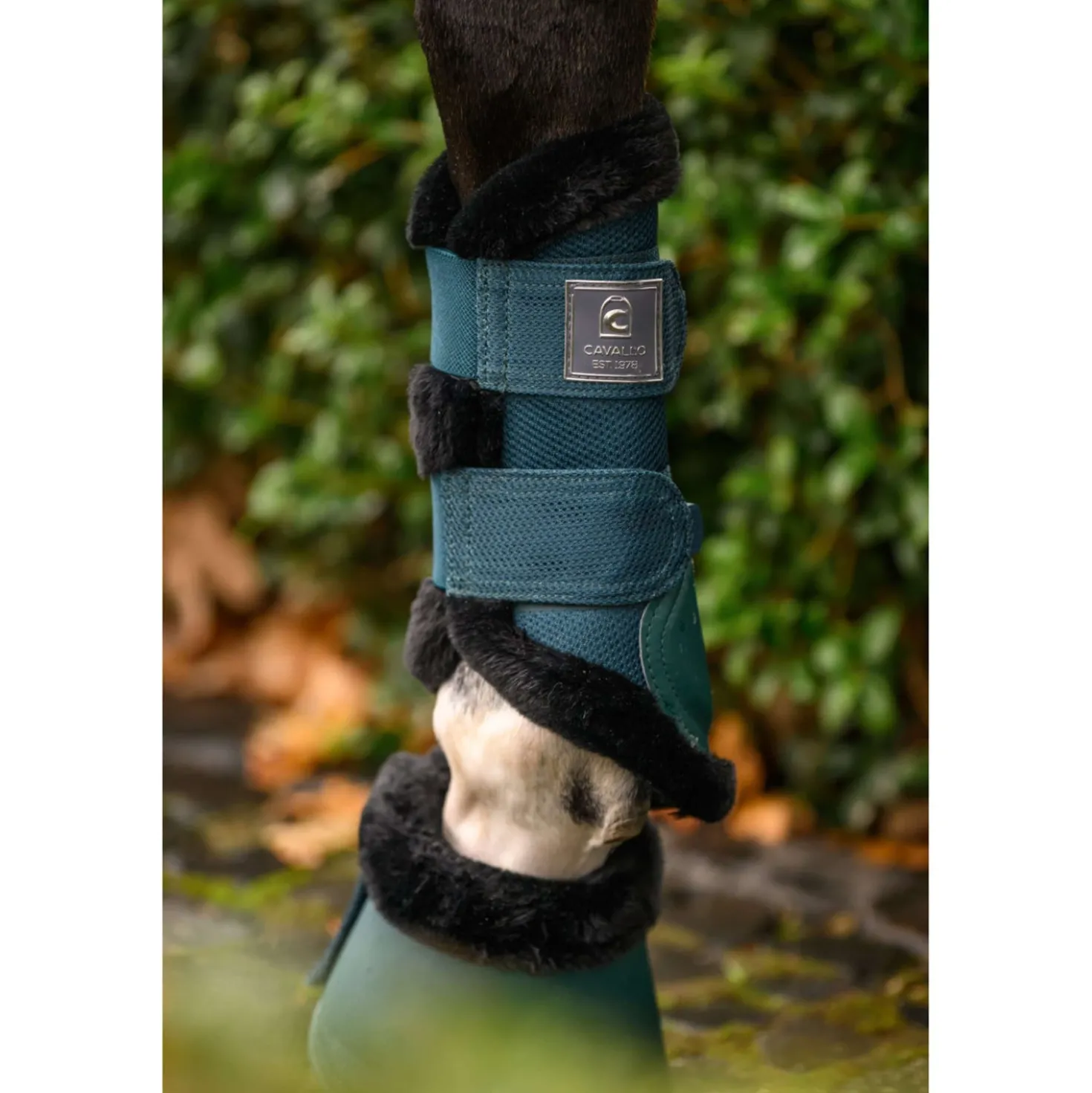 Cavallo Springschoenen CavalJodi Dark Peacock