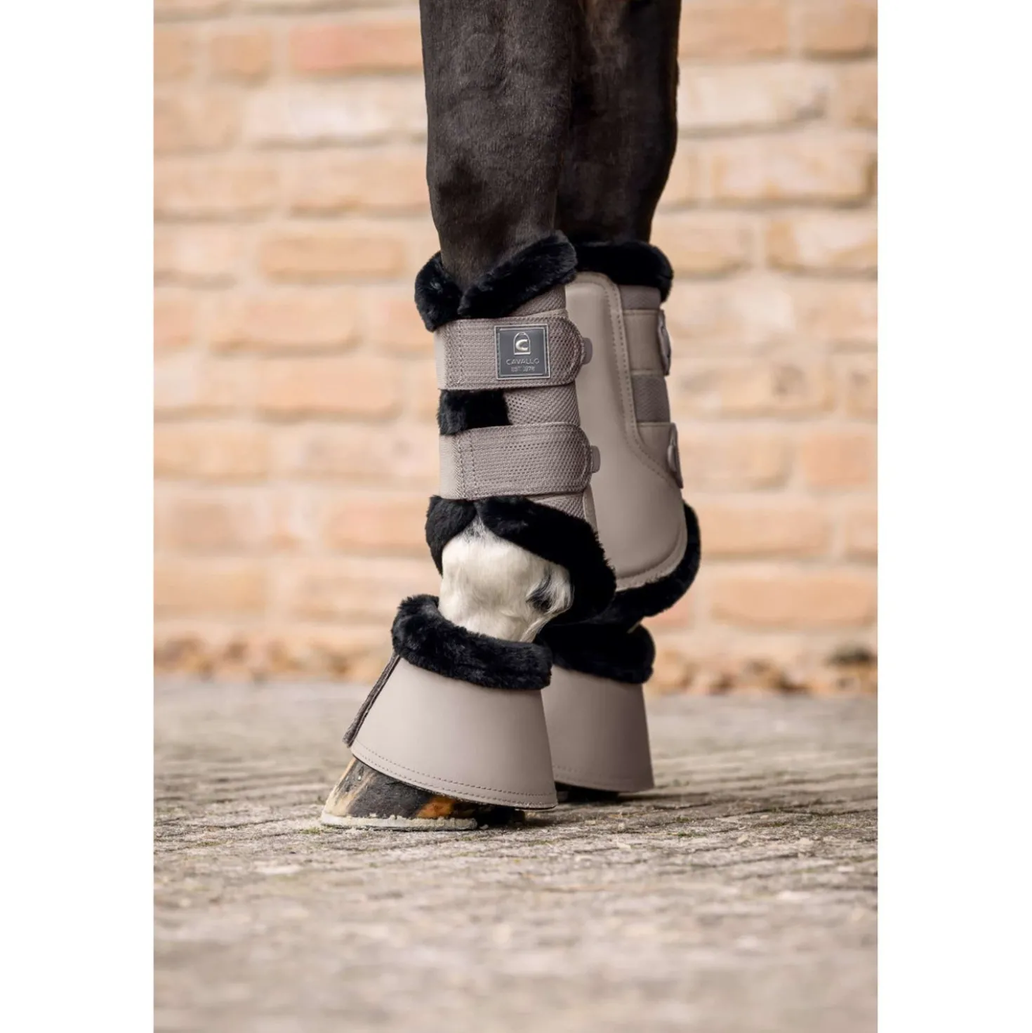 Cavallo Springschoenen CavalJodi Latte