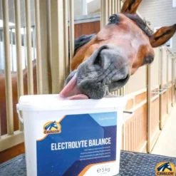 Cavalor Electrolyte Balance