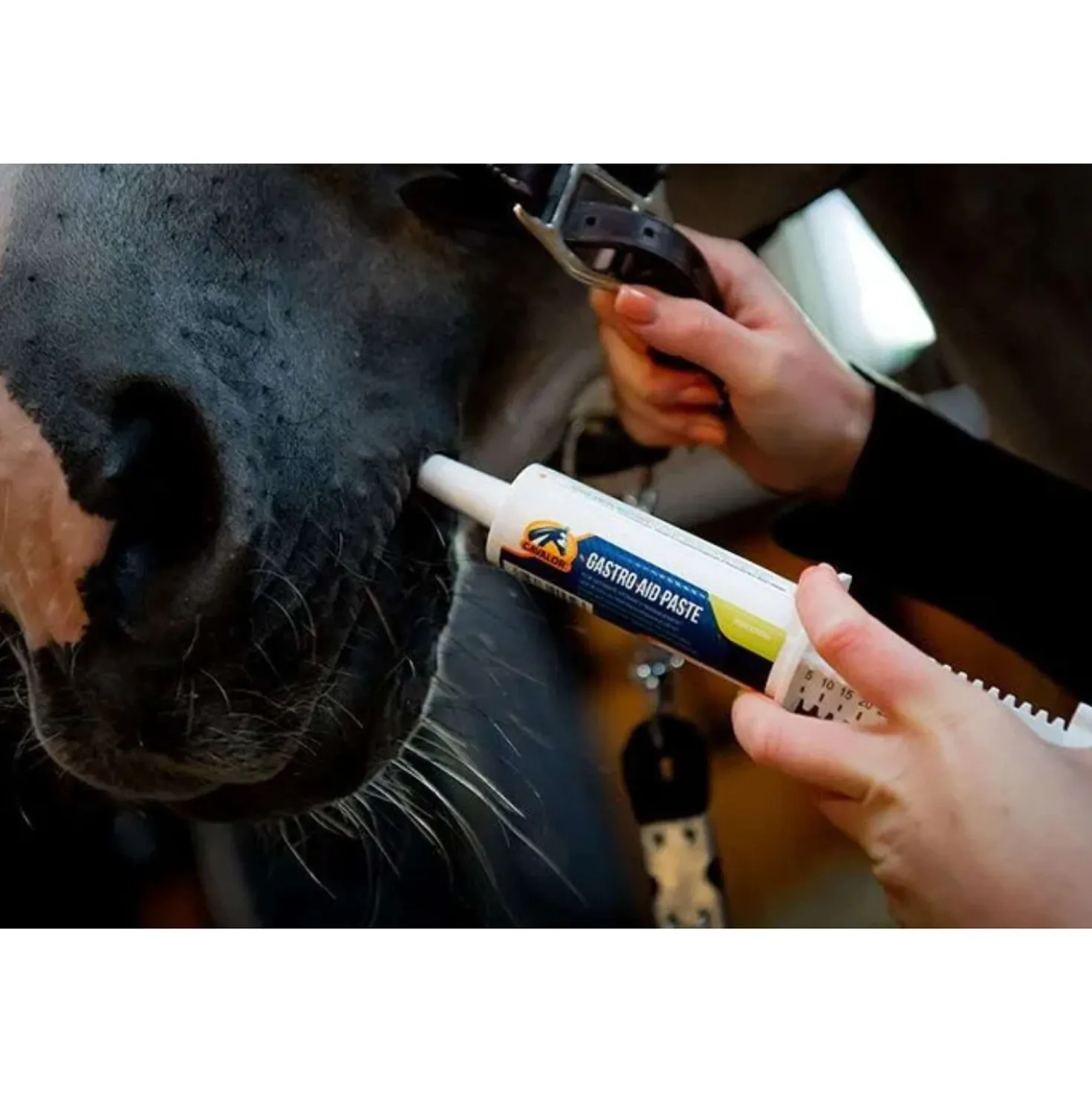 Cavalor Gastro 8 Paste