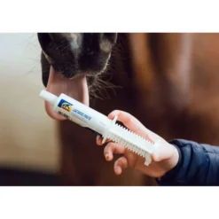 Cavalor Lactatec Paste