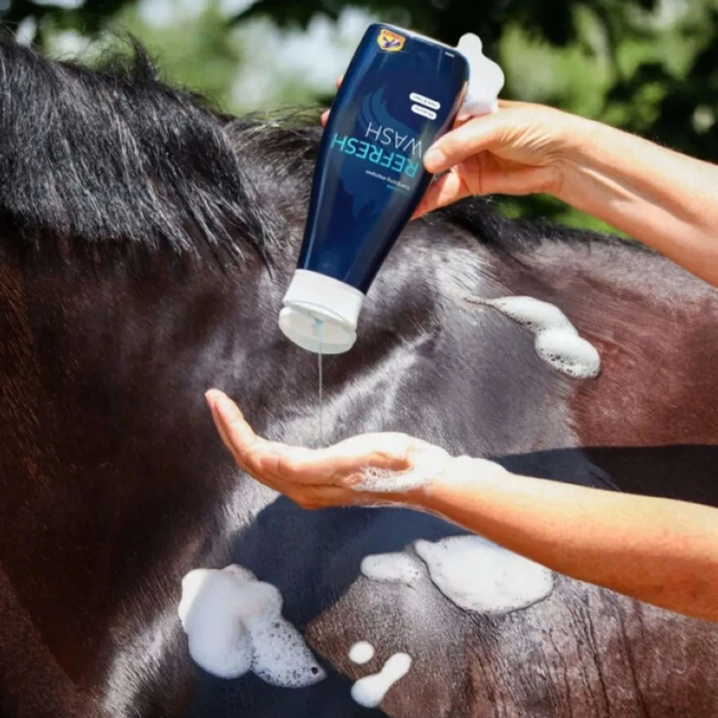 Cavalor Shampoo Refresh Wash