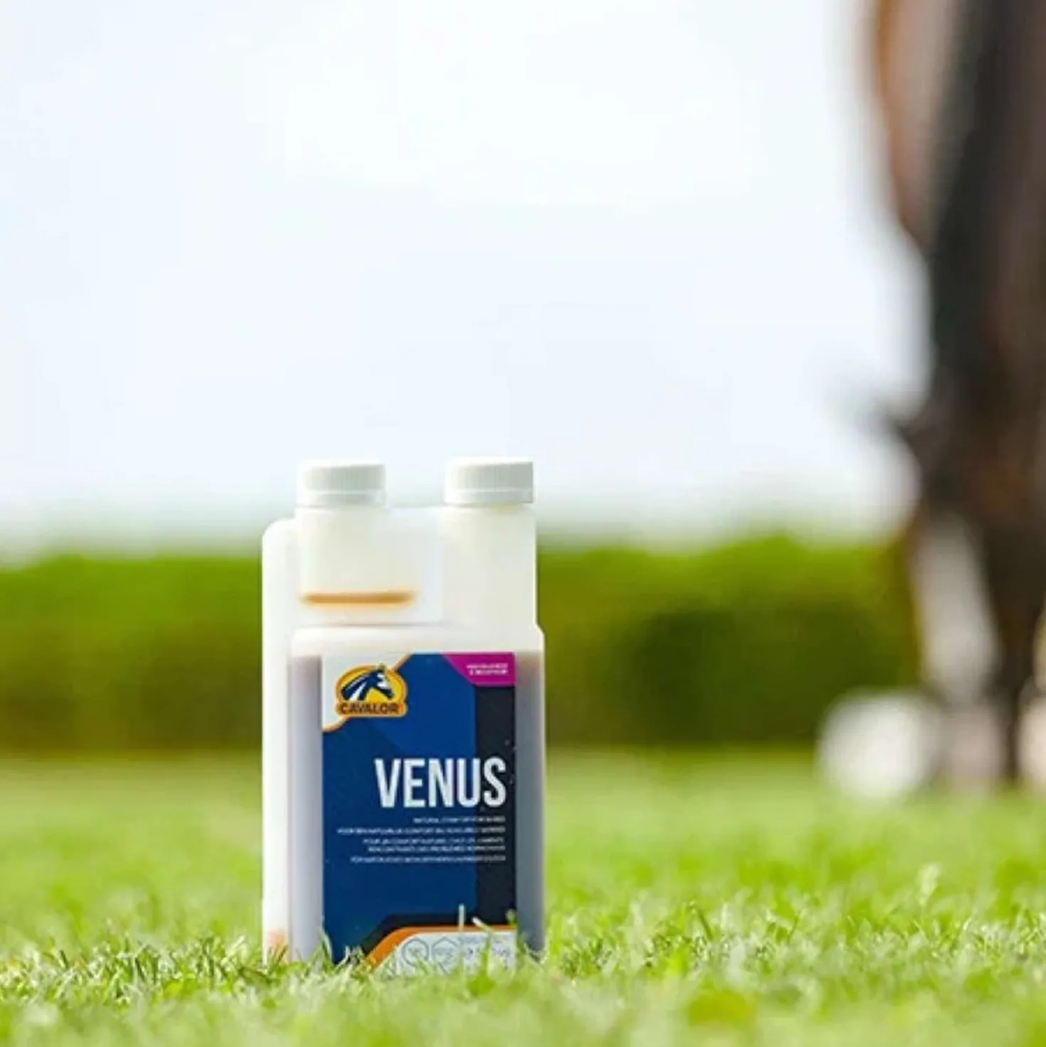 Cavalor Venus