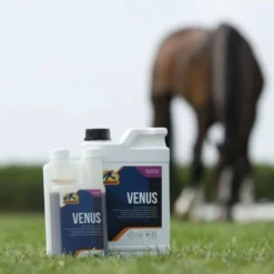 Cavalor Venus