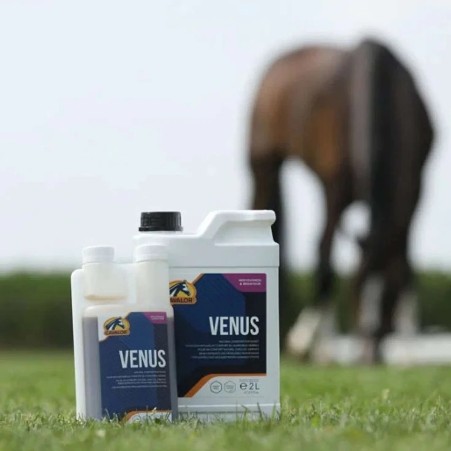 Cavalor Venus