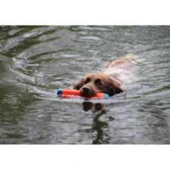 Chuckit Amphibious Bumper