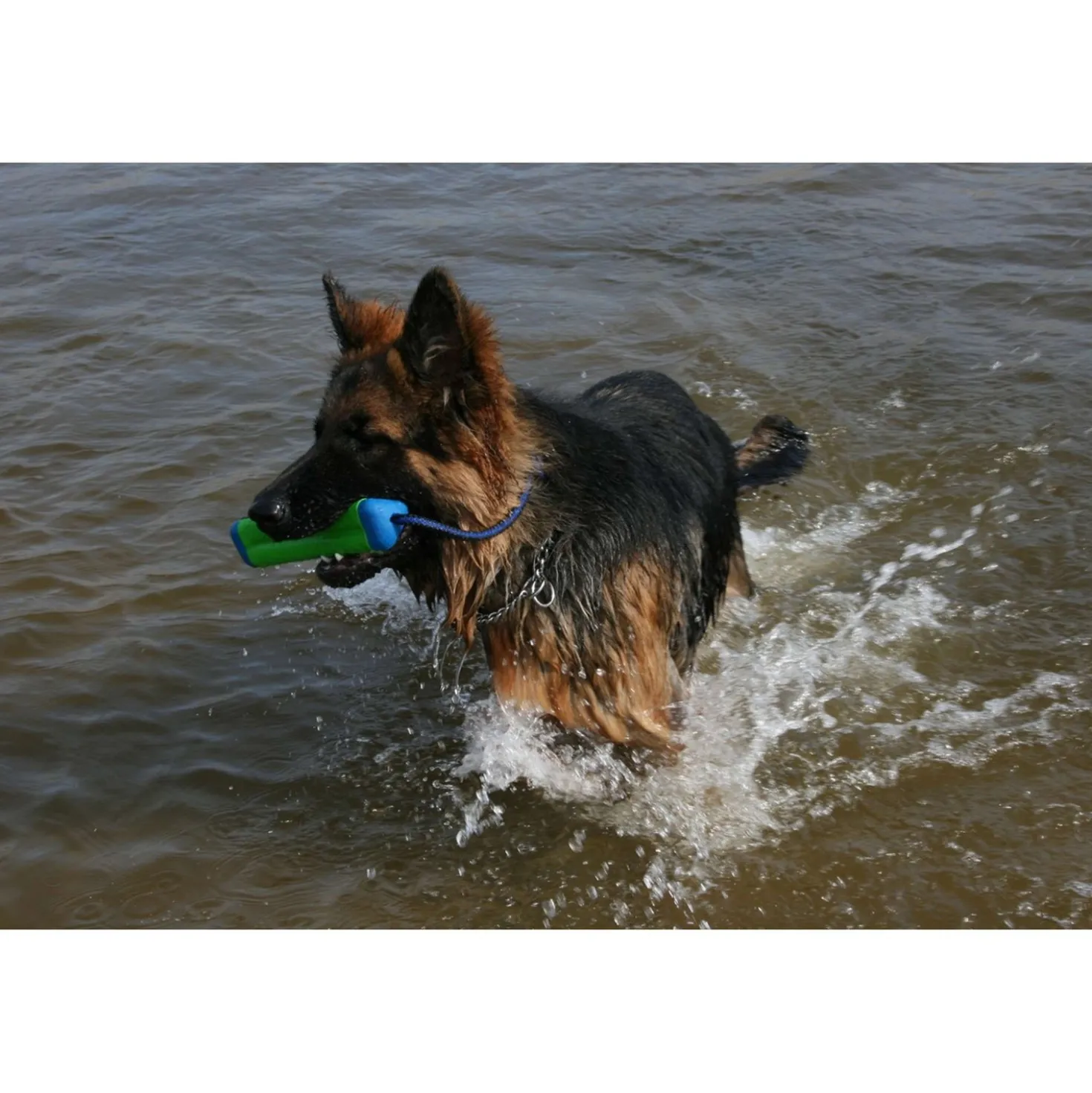 Chuckit Amphibious Bumper