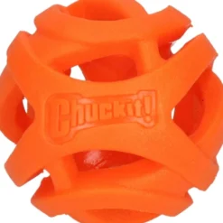 Chuckit Breathe Right Fetch Ball
