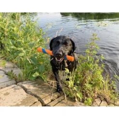 Chuckit Ultra Fetch Stick