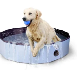 Coolpets Zwembad