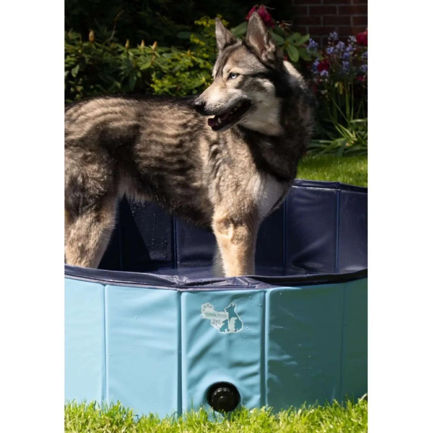 Coolpets Zwembad