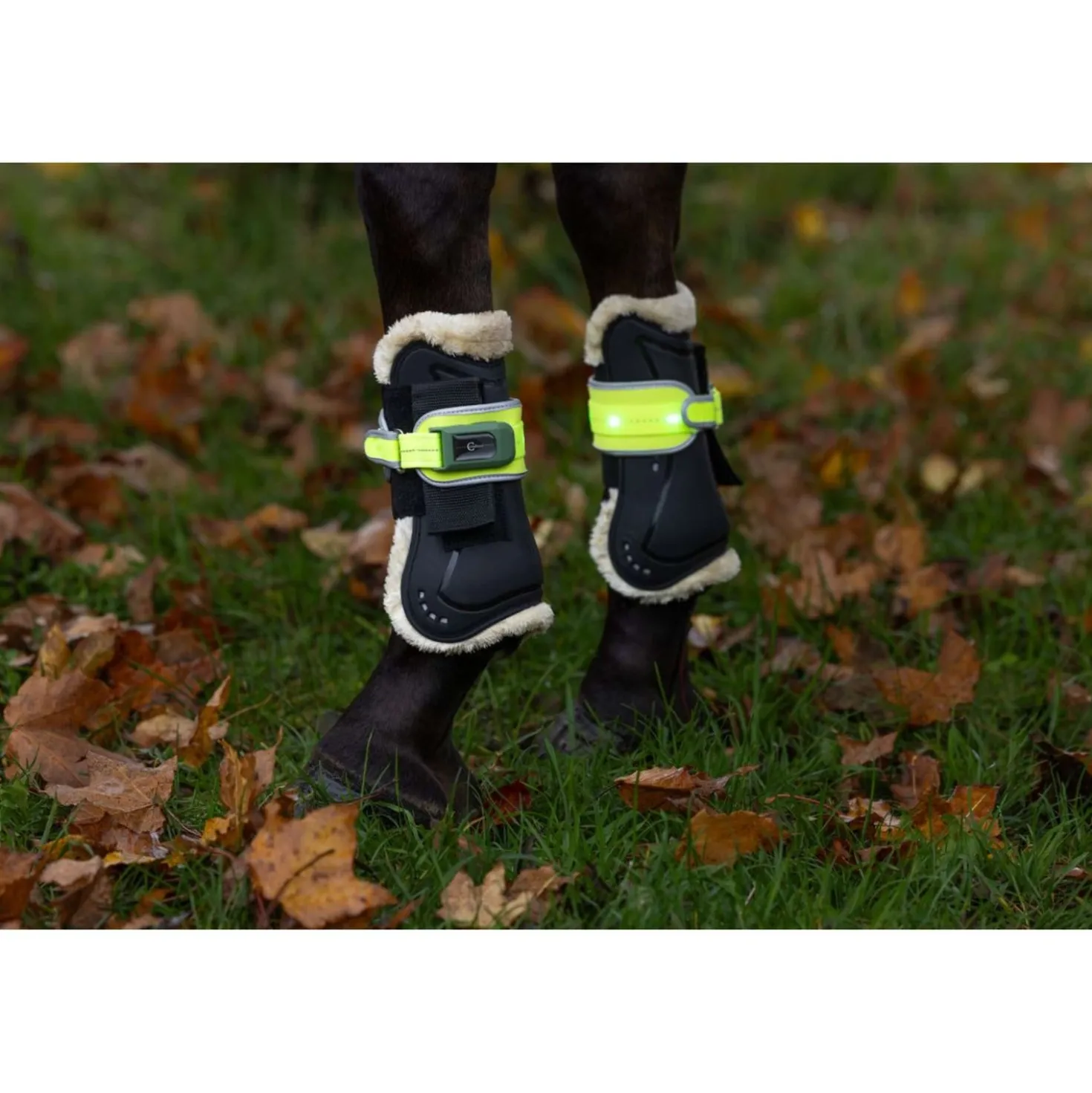 Covalliero Beenbescherming Led Reflectie