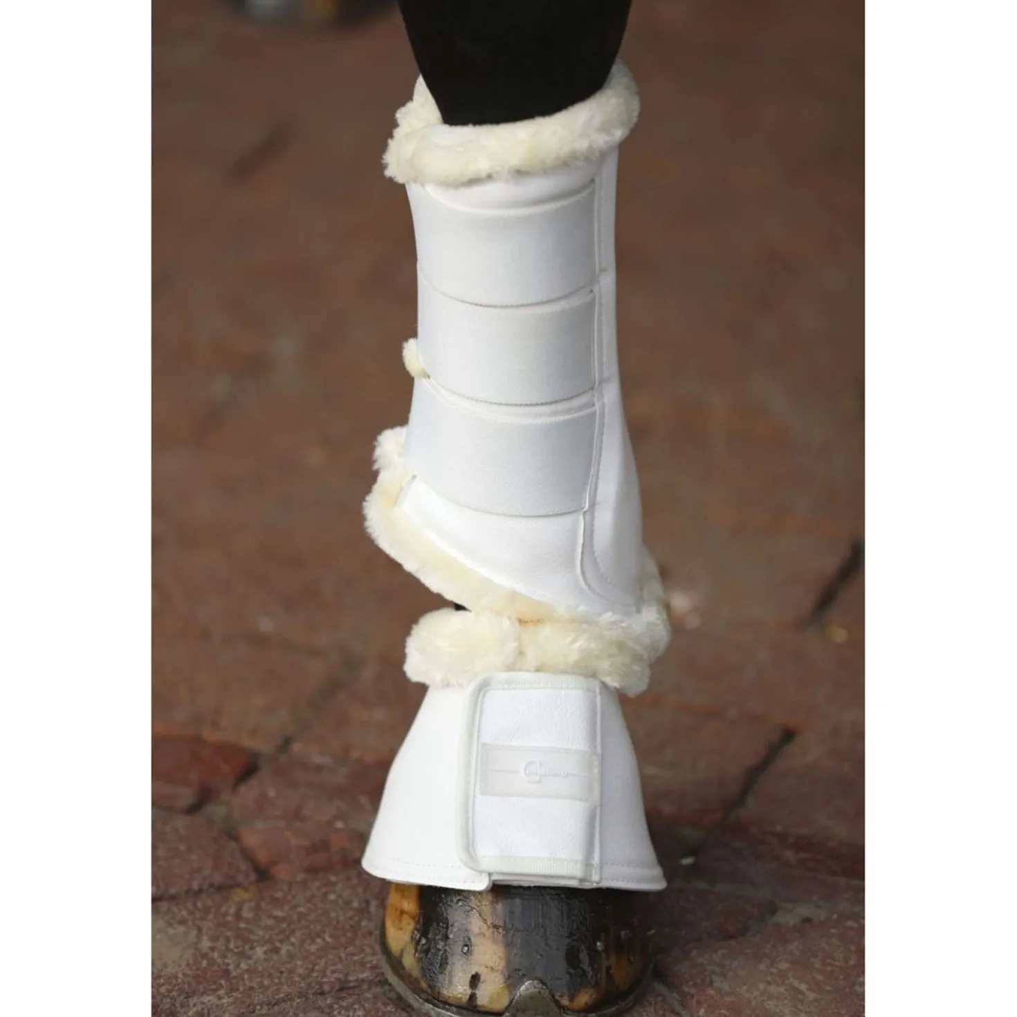 Covalliero Dressage Boots Pelisa Wit