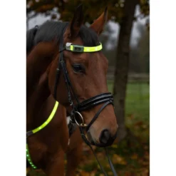 Covalliero Frontriem Led Reflectie