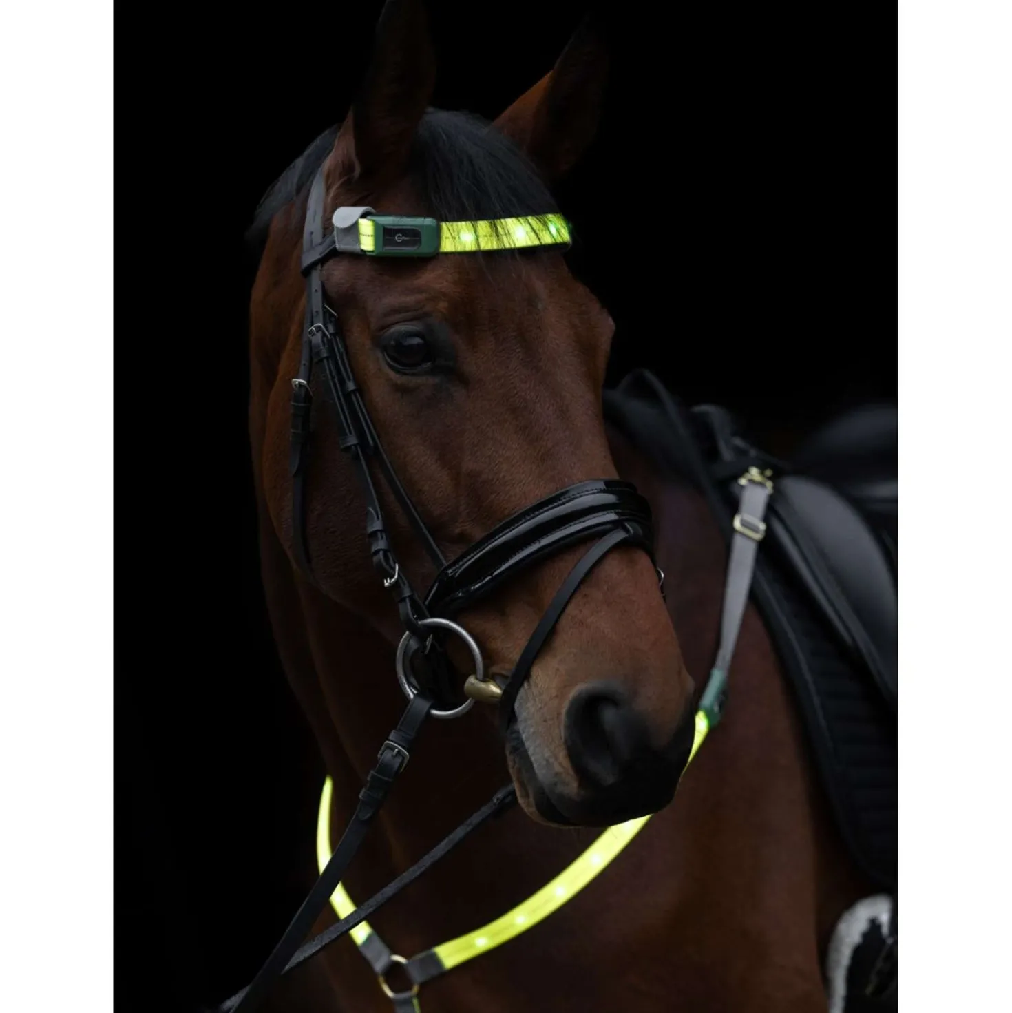 Covalliero Frontriem Led Reflectie