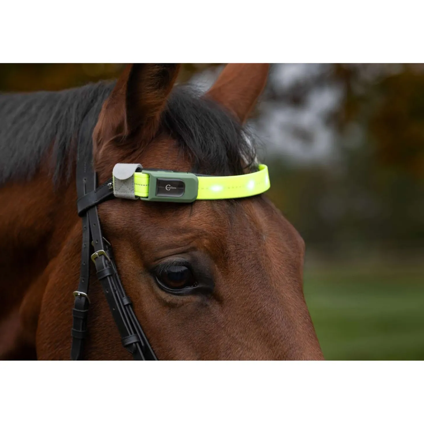 Covalliero Frontriem Led Reflectie