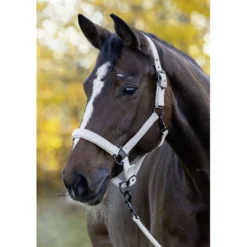 Covalliero Halster AW26 Beige
