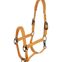 Covalliero Halster AW26 Oranje