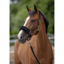 Covalliero Halster ClassicSoft Zwart