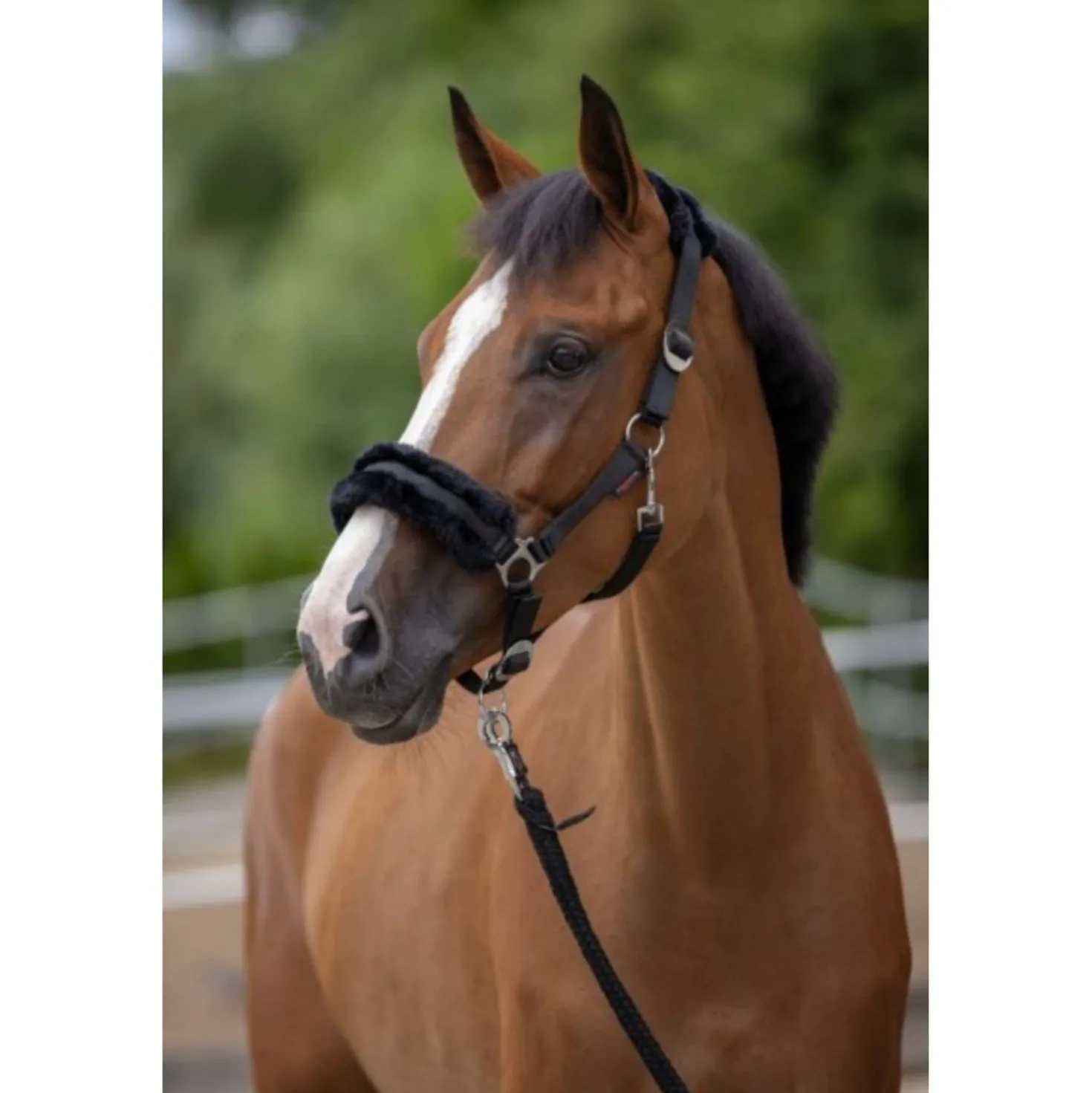 Covalliero Halster ClassicSoft Zwart