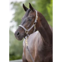 Covalliero Halster Classy Stone