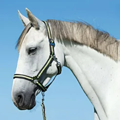 Covalliero Halster Hippo Antraciet/Lemon