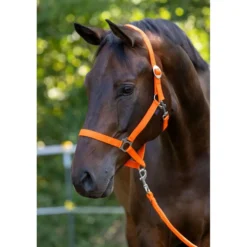 Covalliero Halster Hippo Oranje