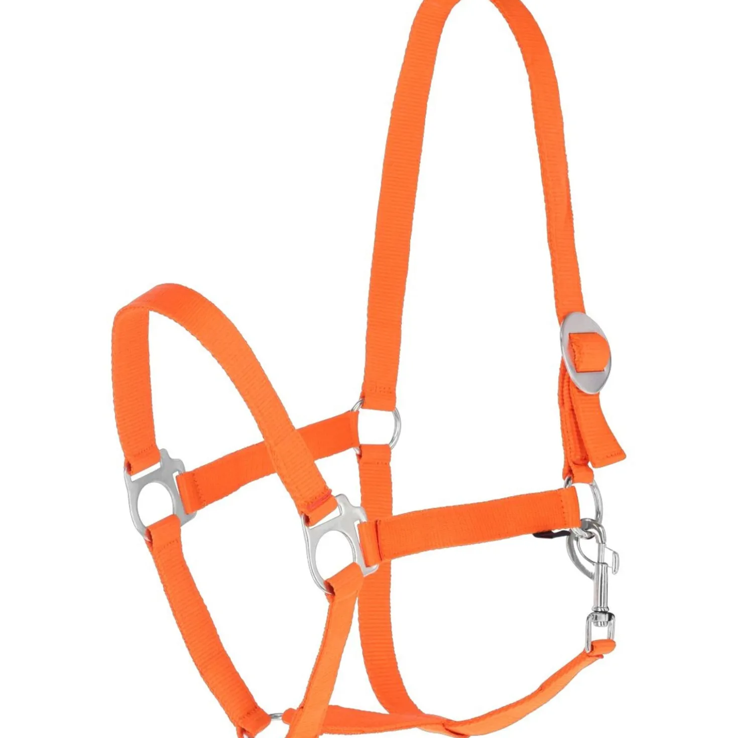 Covalliero Halster Hippo Oranje