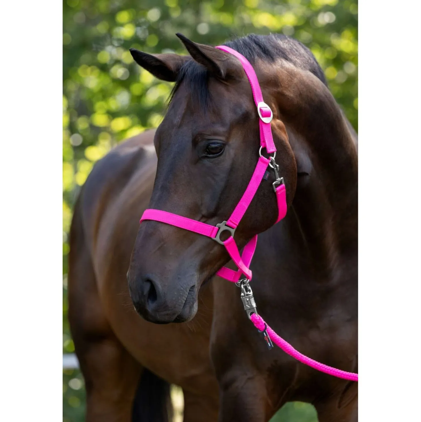 Covalliero Halster Hippo Roze