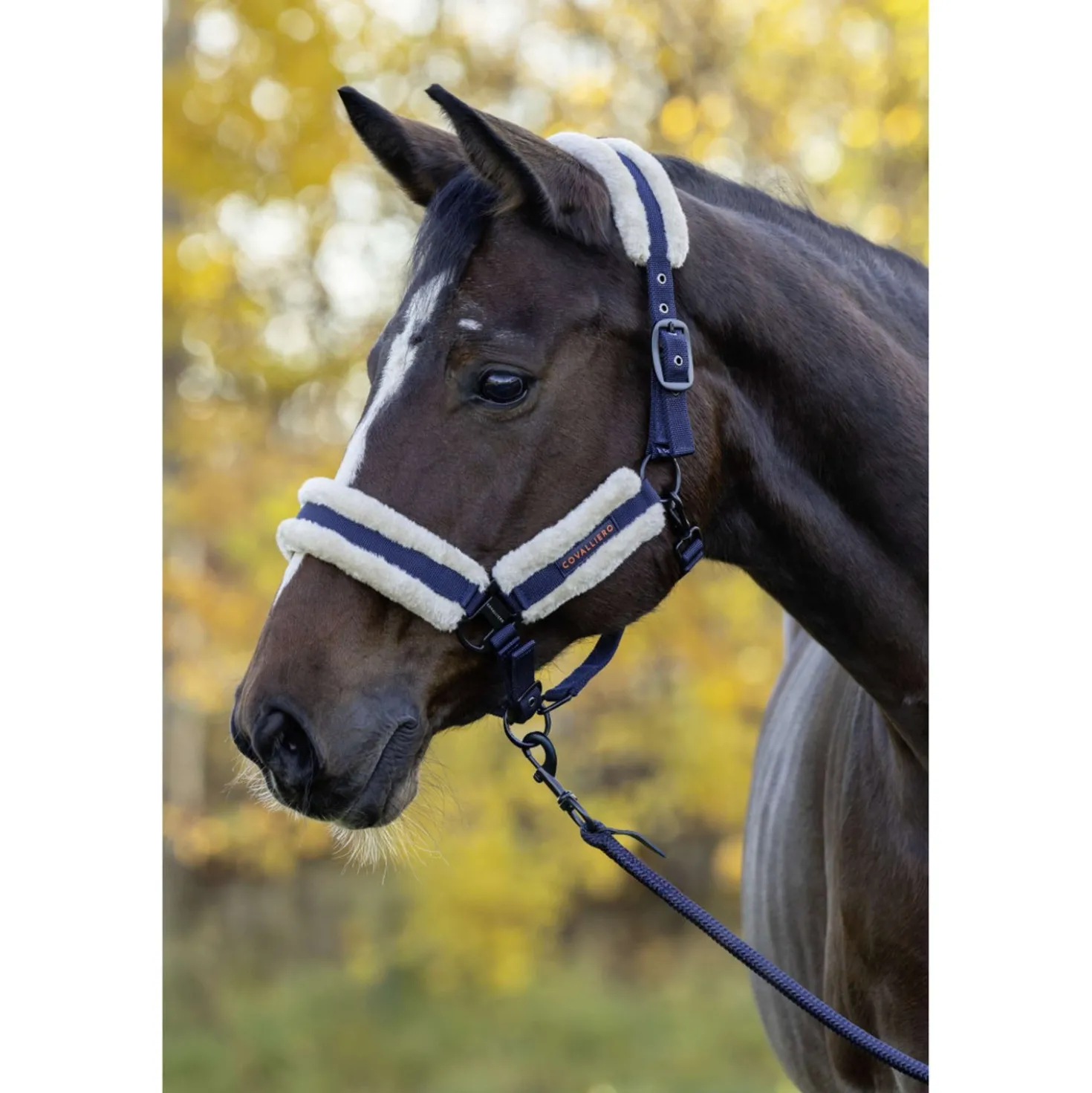 Covalliero Halster Soft AW26 Dark Navy