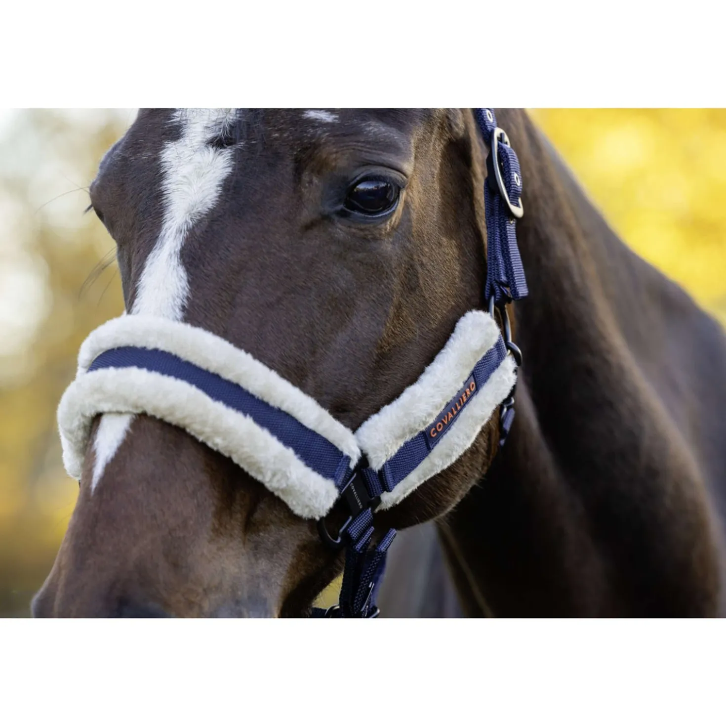 Covalliero Halster Soft AW26 Dark Navy