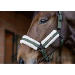 Covalliero Halster Soft AW26 Forest Green