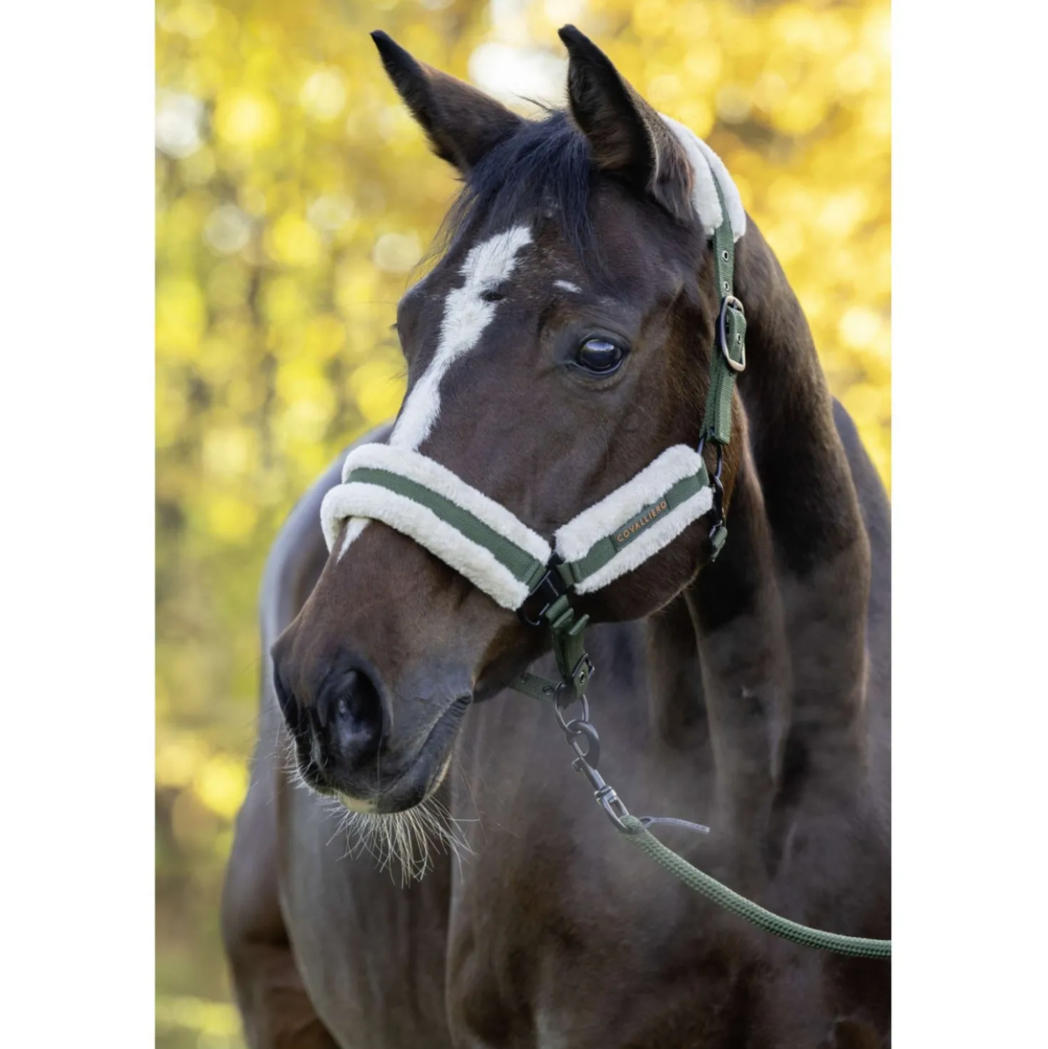 Covalliero Halster Soft AW26 Forest Green