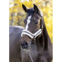 Covalliero Halster Soft AW26 Milky Chocolate