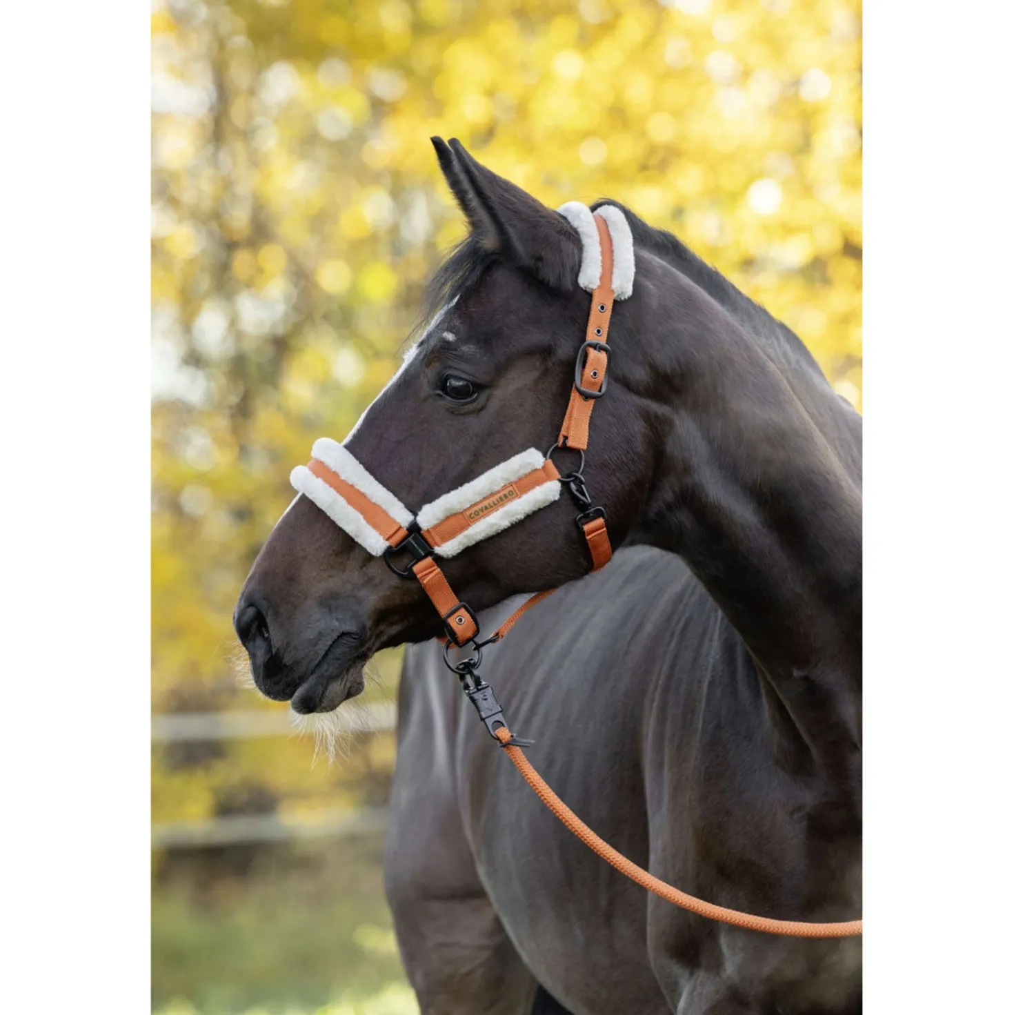 Covalliero Halster Soft AW26 Oranje