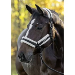 Covalliero Halster Soft AW26 Zwart