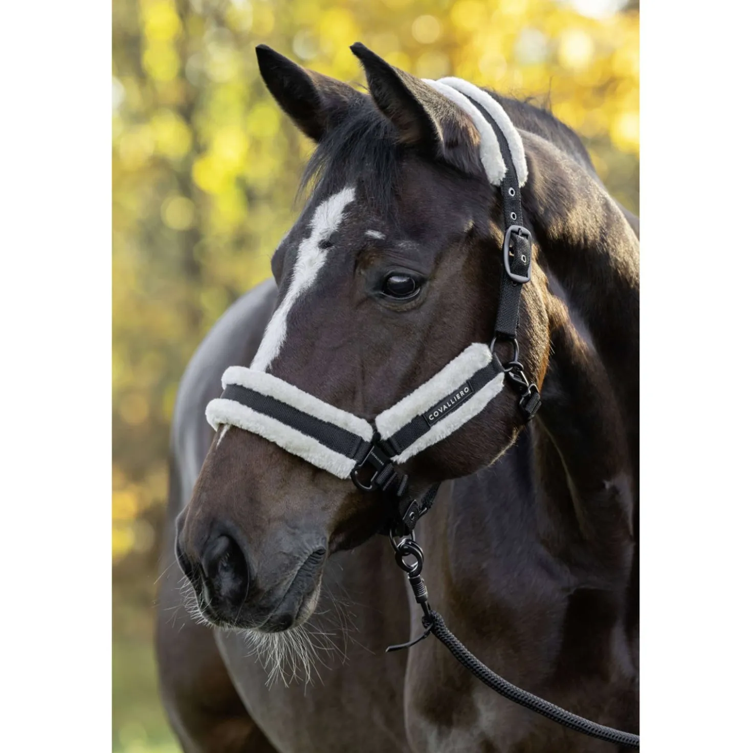 Covalliero Halster Soft AW26 Zwart