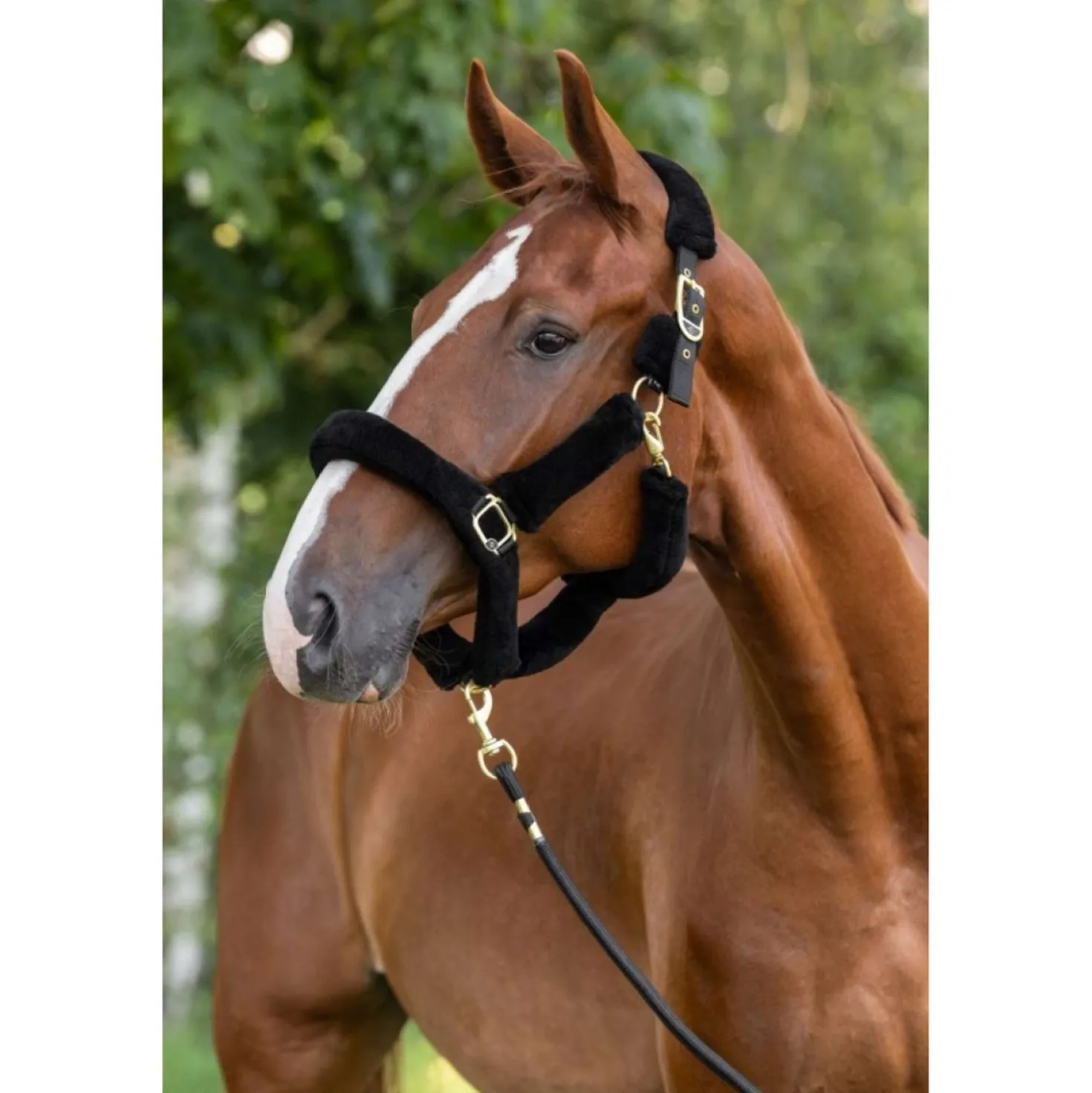 Covalliero Halster Supersoft 2.0 Zwart