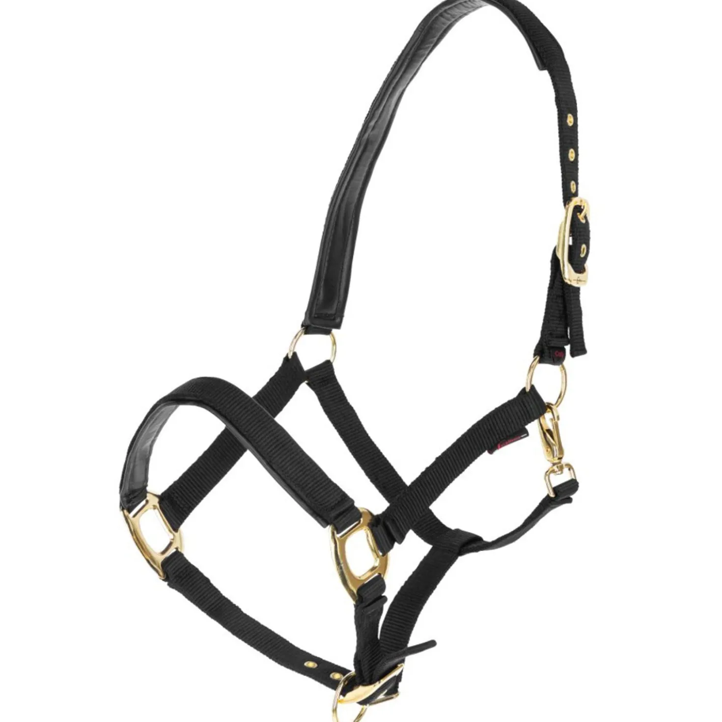 Covalliero Halster TopLine Zwart