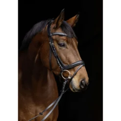 Covalliero Hoofdstel Anatomic Zwart