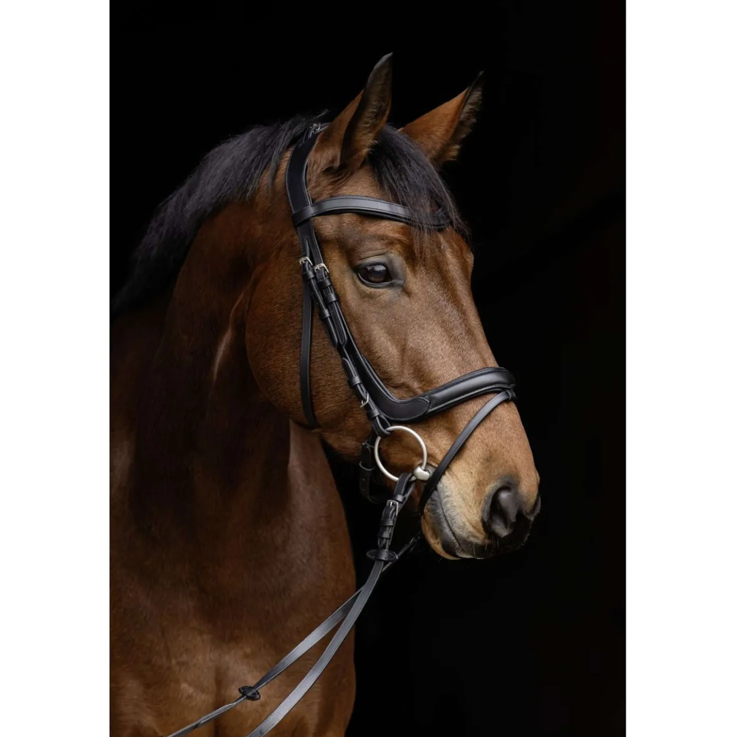 Covalliero Hoofdstel Anatomic Zwart